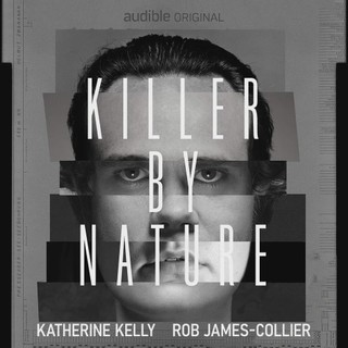audiobook cover image