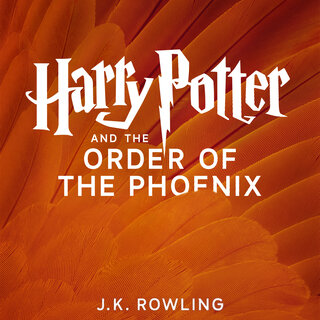 audiobook cover image