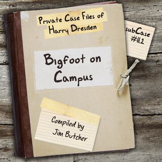 audiobook cover image