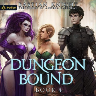 audiobook cover image