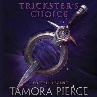 audiobook cover image