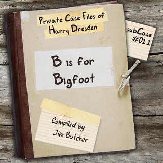 audiobook cover image