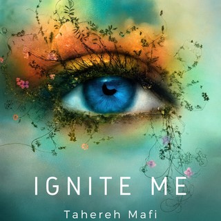 audiobook cover image