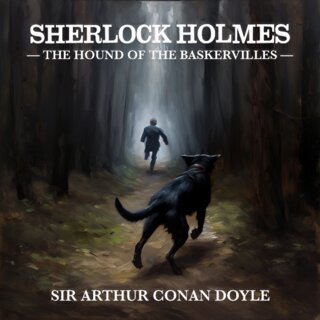 audiobook cover image