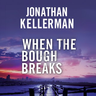 audiobook cover image