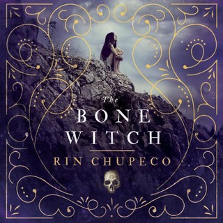 audiobook cover image