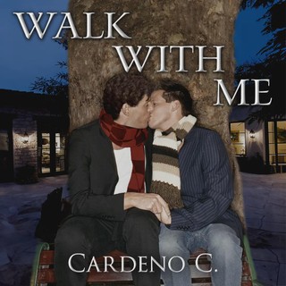 audiobook cover image