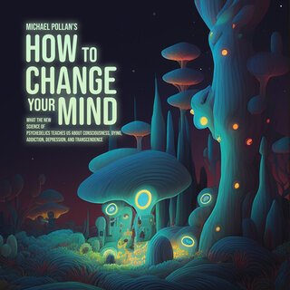 audiobook cover image