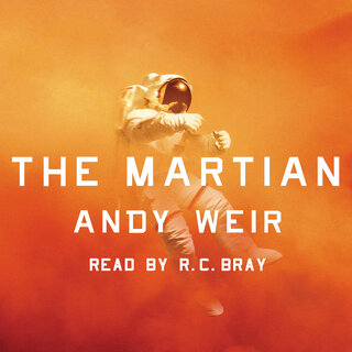 audiobook cover image