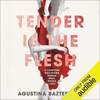 audiobook cover image