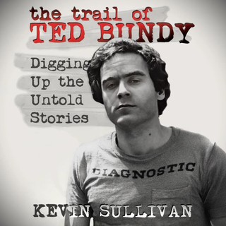 audiobook cover image
