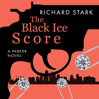 audiobook cover image