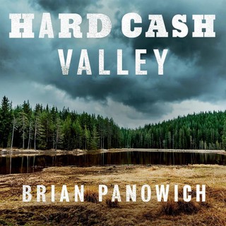 audiobook cover image