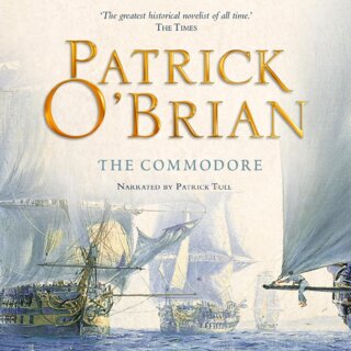 audiobook cover image