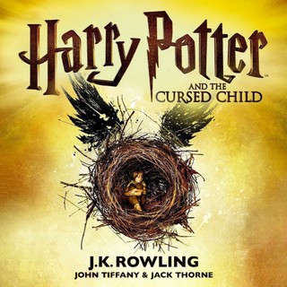 audiobook cover image
