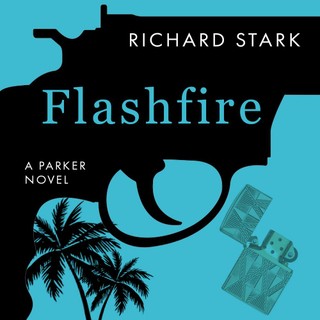 audiobook cover image